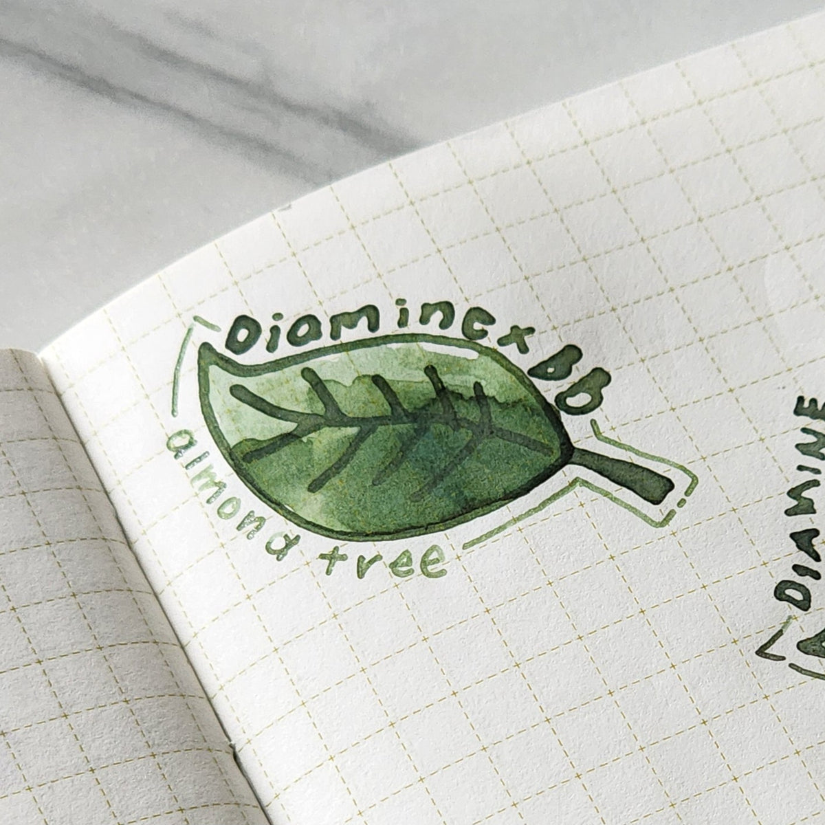 Diamine | BlueBlack - 2mL Ink Sample