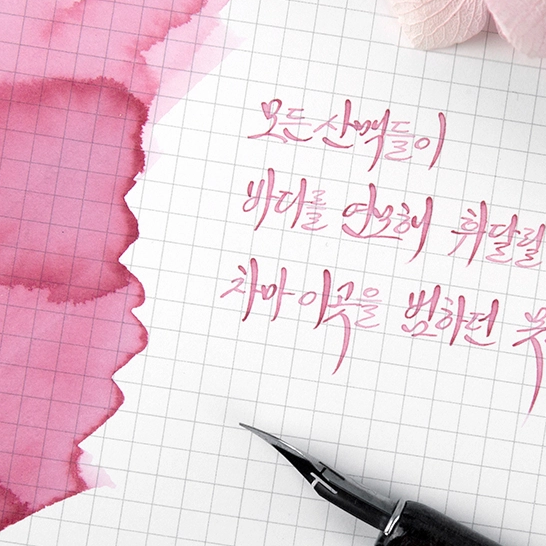 Wearingeul | Korean Literature - 30mL Fountain Pen Ink