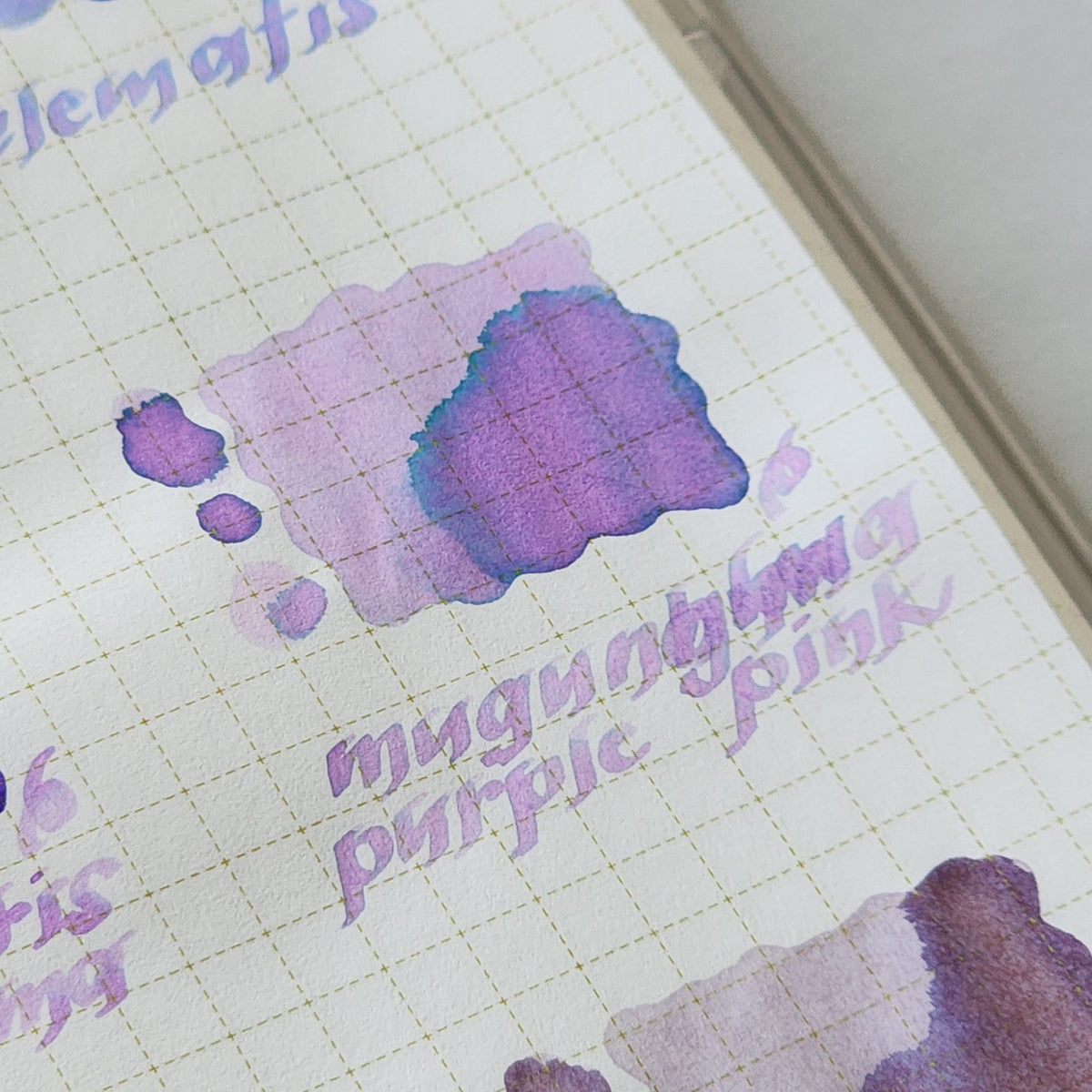 Nagasawa | Kobe 2mL Ink Sample