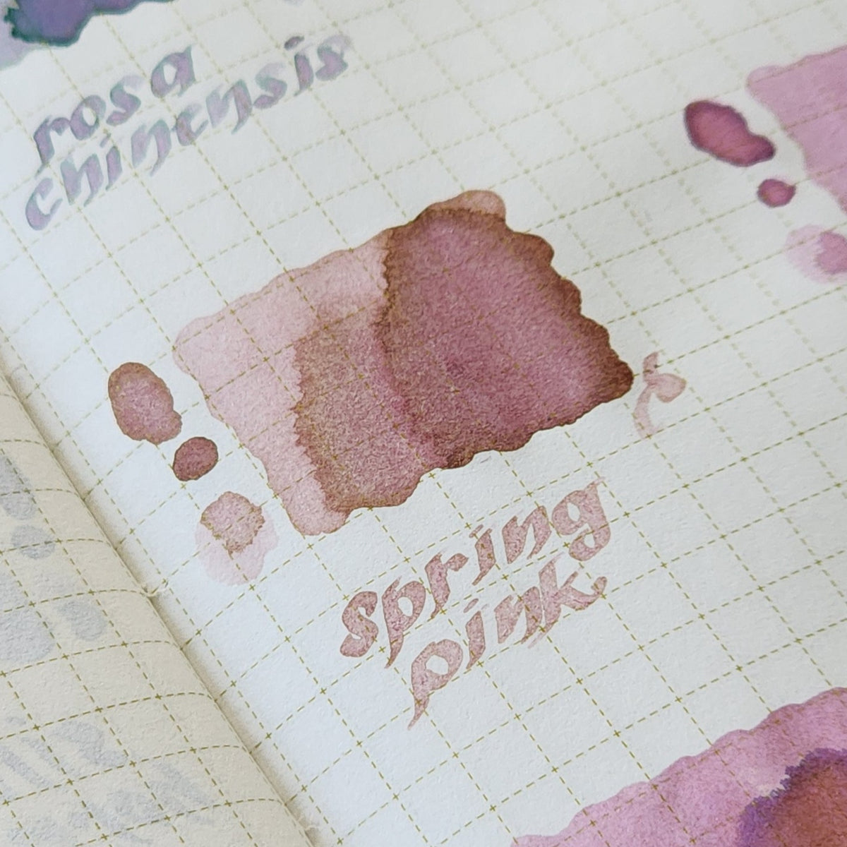 Pentonote | 2mL Ink Sample